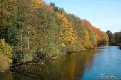 Travel photography:Trees along the Schwentine river near Kiel, Germany