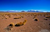 Travel photography:The Altiplano, Bolivia