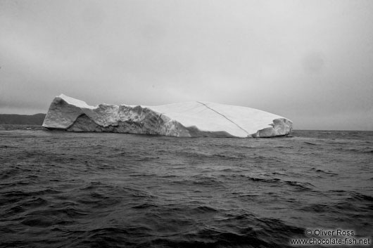 Iceberg off Bay Bulls in Newfoundland