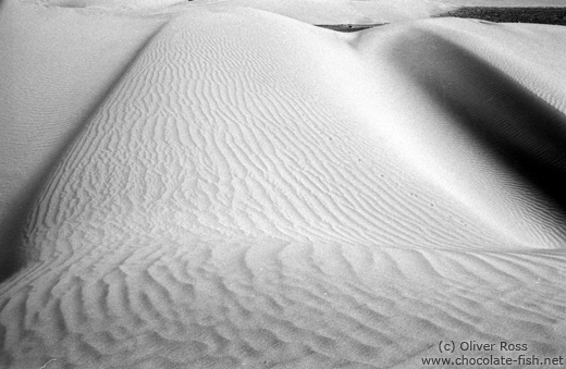 Sand Dunes near Diskit (Ladakh)