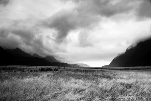 Landscape in Fiordland National Park