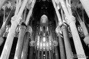 Travel photography:Barcelona Sagrada Familia interior above the main altar, Spain