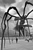 Travel photography:Spider outside the Bilbao Guggenheim Museum, Spain