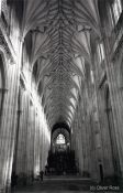 Travel photography:Winchester Cathedral, United Kingdom