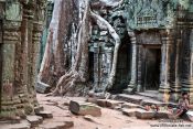Travel photography:Giant tree roots cover these doors at Ta Prom temple, Cambodia