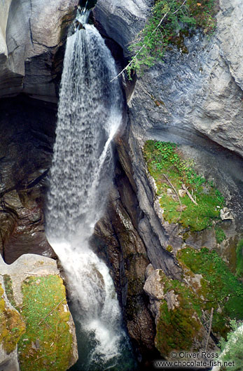 Waterfall in Jasper National Park