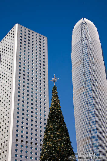 Hong Kong high rises with Christmas tree