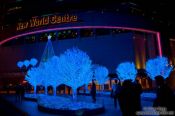 Travel photography:Trees with blue lighting at Hong Kong´s New World Centre, China