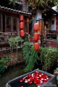 Travel photography:Rose petals in a water trough in Lijiang´s old town , China