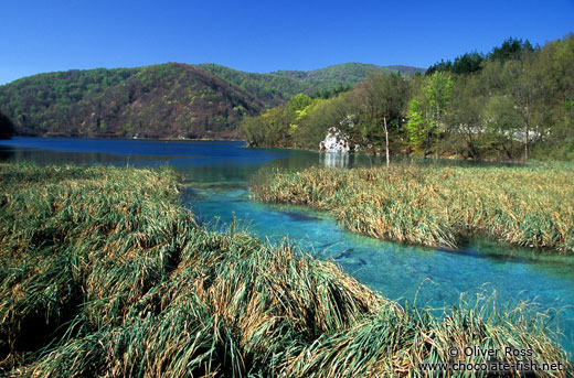 Lake and river landscape in Plitvice (Plitvicka) National Park
