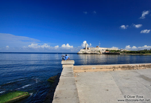 Havana bay with lighthouse and castle