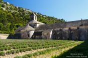 Travel photography:The Abbey of Notre Dame de Sénanque near Gordes, France