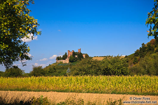 View of Schloss Ortenberg castle