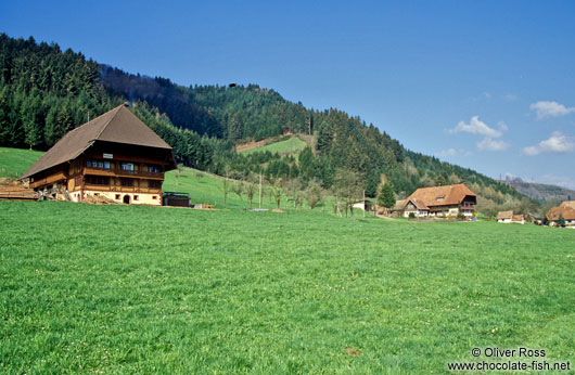 Old Farm houses in the Black Forest