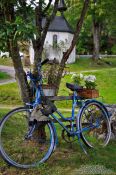 Travel photography:Bike with flowers in the Black Forest near Titisee, Germany