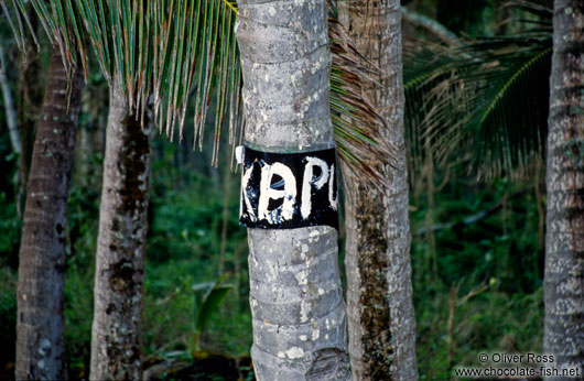 This forest is kapu (taboo)