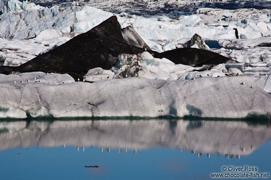 Gulls sitting on an iceberg in Jökulsárlón lake