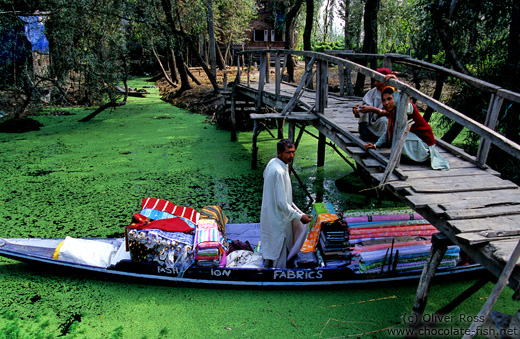 Travelling salesman on Dal lake, Srinagar