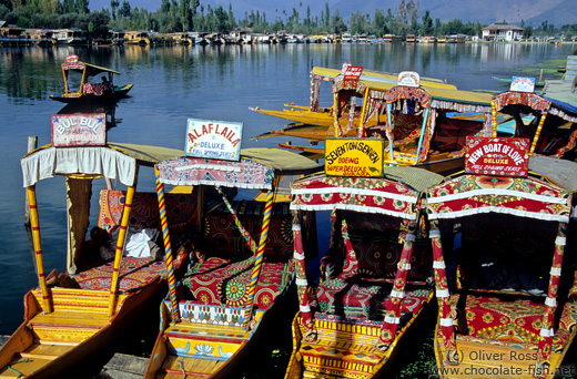 Parked water taxis on Dal Lake in Srinagar