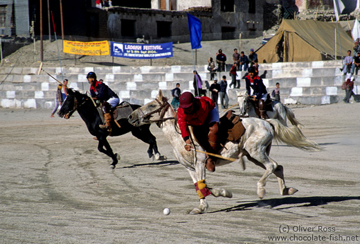 Playing polo in Leh