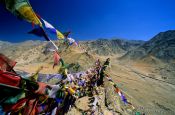 Travel photography:Buddhist prayer flags in Leh, India