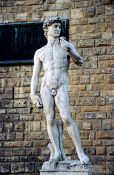 Travel photography:Michelangelo`s David in Florence, Italy