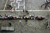 Travel photography:Piazza San Marco with visitors and pigeons, Italy