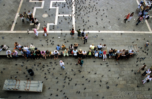 Piazza San Marco with visitors and pigeons