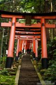 Travel photography:Row of torii at Kyoto`s Inari shrine, Japan