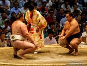 Travel photography:Preparing for a bout at the Nagoya Sumo Tournament, Japan