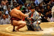 Travel photography:Honouring the winner of a bout at the Nagoya Sumo Tournament, Japan
