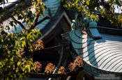 Travel photography:Roof construction at Tokyo´s Meiji shrine, Japan