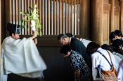 Travel photography:Ceremony at Tokyo´s Meiji shrine, Japan