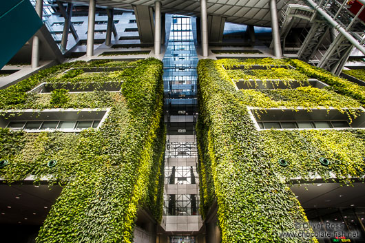 The Green Wall inside the Seoul city hall