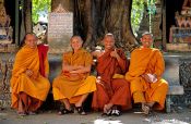 Travel photography:Group of novice monks in Vientiane, Laos