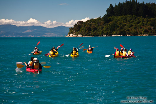 Sea kayaking in the Abel Tasman National Park