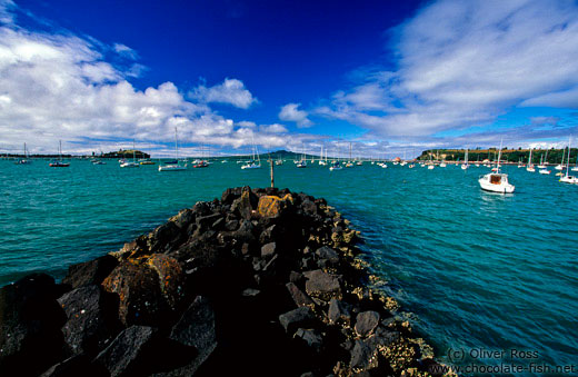 View of Auckland harbour with Rangitoto Island