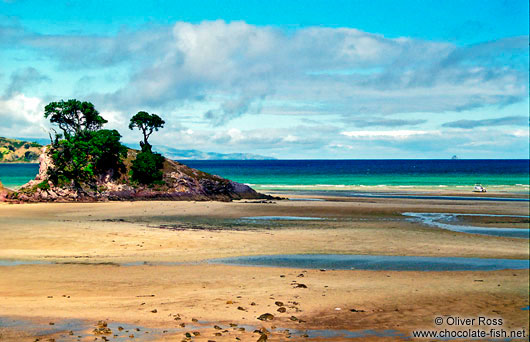 Beach on Great Barrier Island