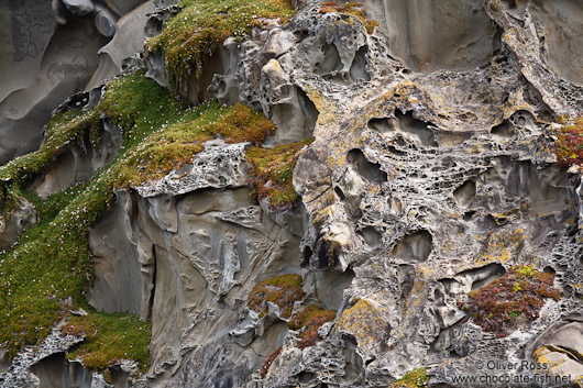Honeycomb Rock on the Wairarapa Coast