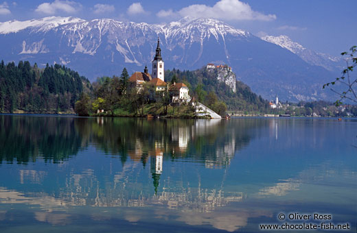 Island with church and Bled Castle reflected in Blejsko jezero (Bled lake) with the Slovenian Alps in the background