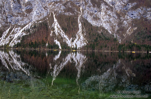 Reflections in Bohinjsko lake