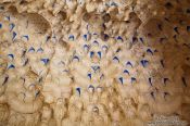 Travel photography:Arabesque ceiling with muqarnas in an alcove of the Nazrin palace in the Granada Alhambra, Spain