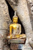 Travel photography:Golden Buddha statue left among tree roots at Sukhothai temple complex, Thailand
