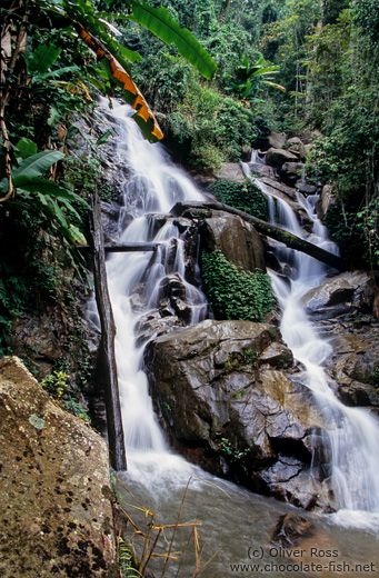 Waterfall in Chiang Rai province