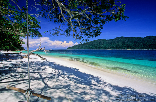 Tree swing on Ko Rawi beach