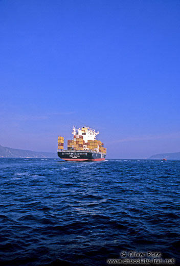 A common sight on the Bosporus: a container ship