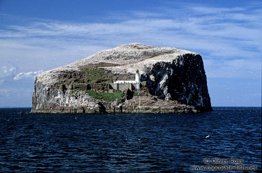 Bass Rock with large Gannet colony and light house