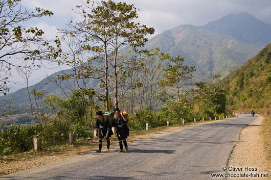 Hmong women carrying wood near Sapa 
