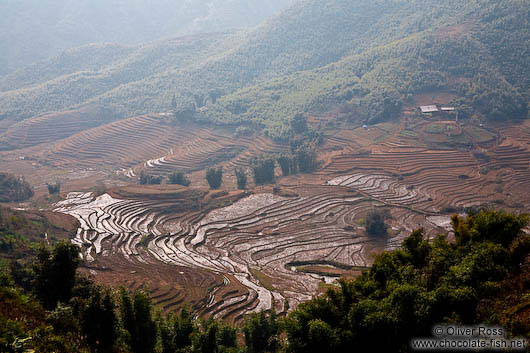 Rice terraces near Sapa´s Cat Cat village 