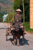 Travel photography:Sapa man on cart , Vietnam